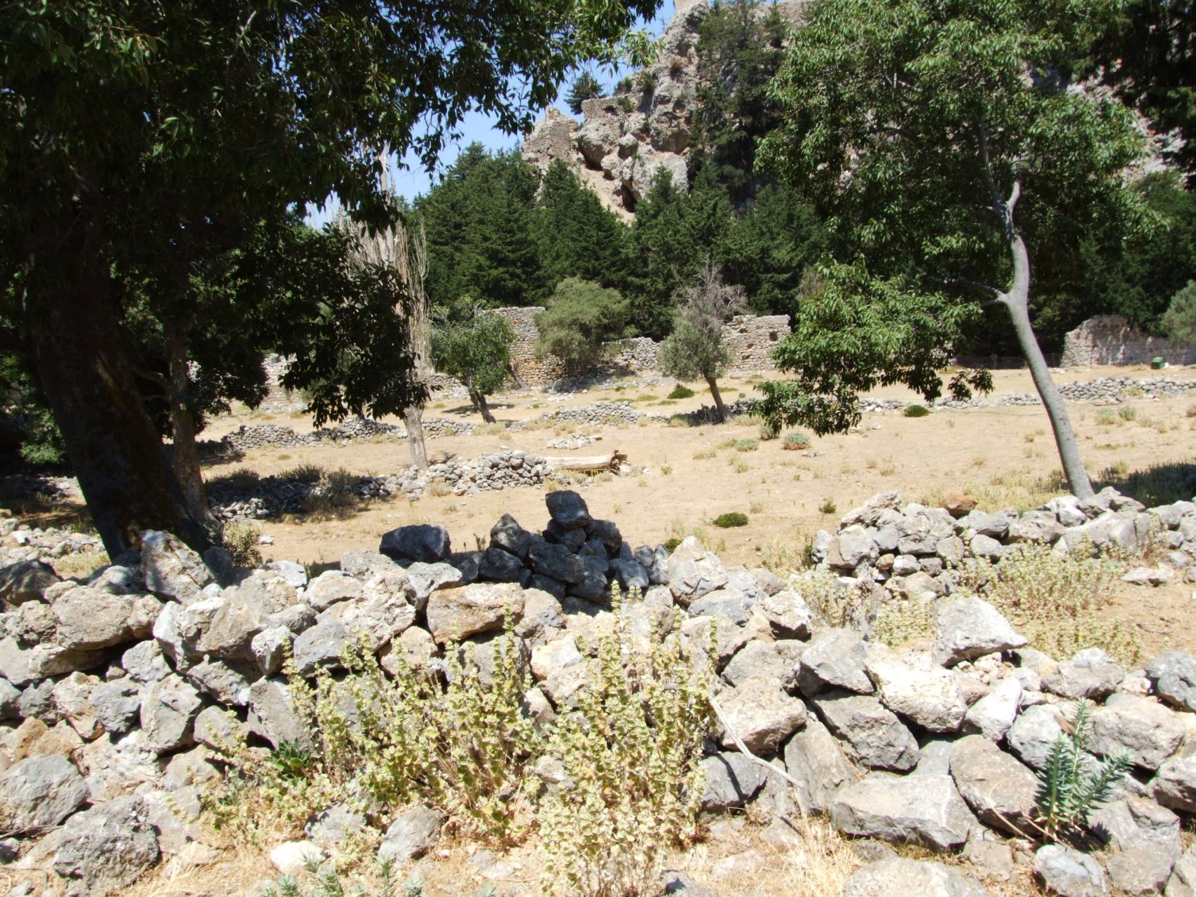 Ruiny Paleo Pyli