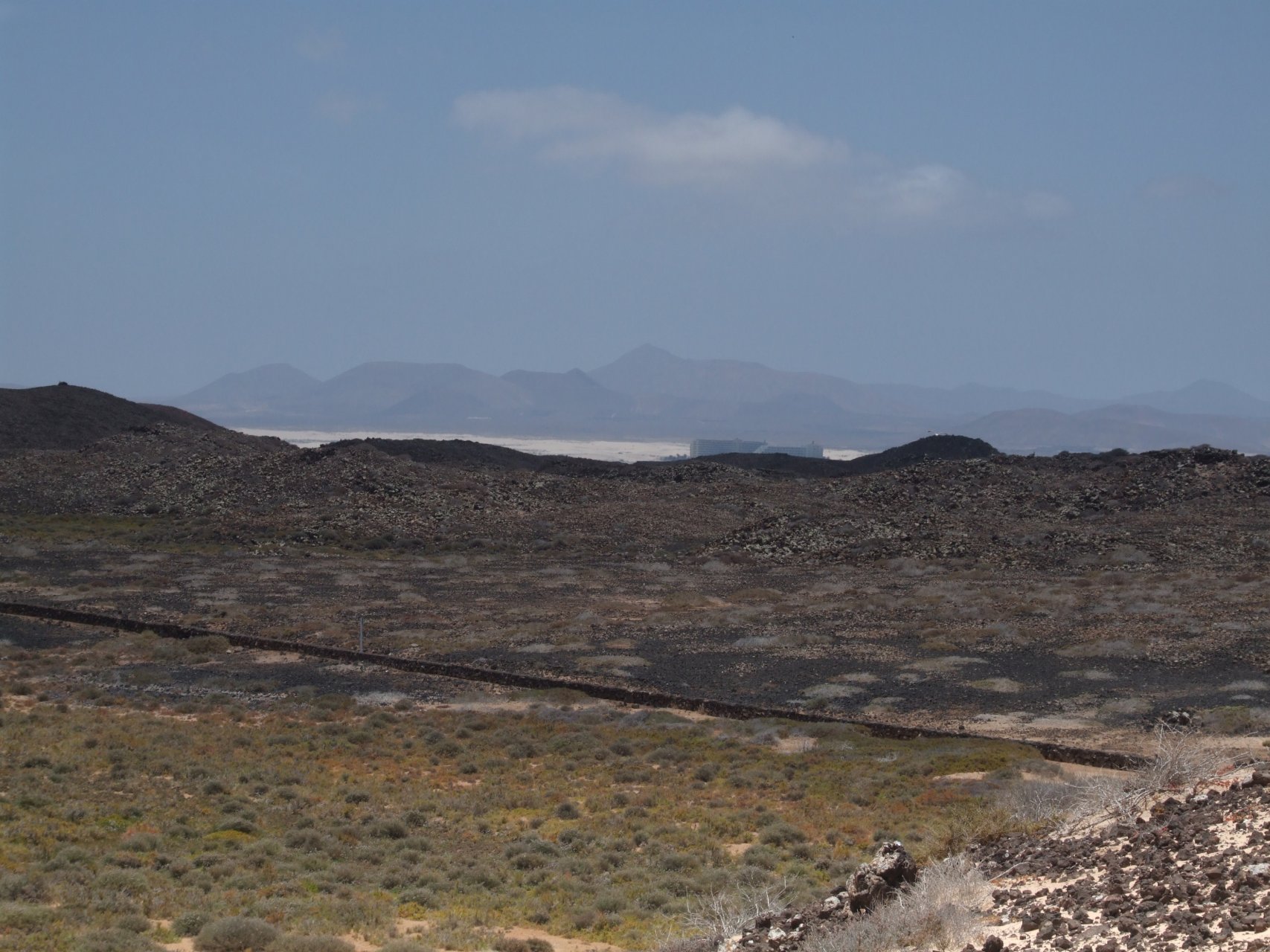 Mokradła Las Lagunitas (w tle Fuerteventura)