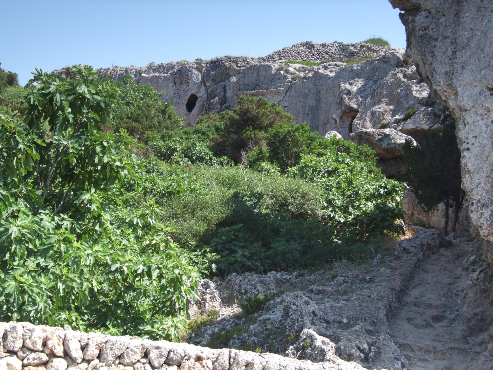 Coves Cala Morell - dolina grobowców