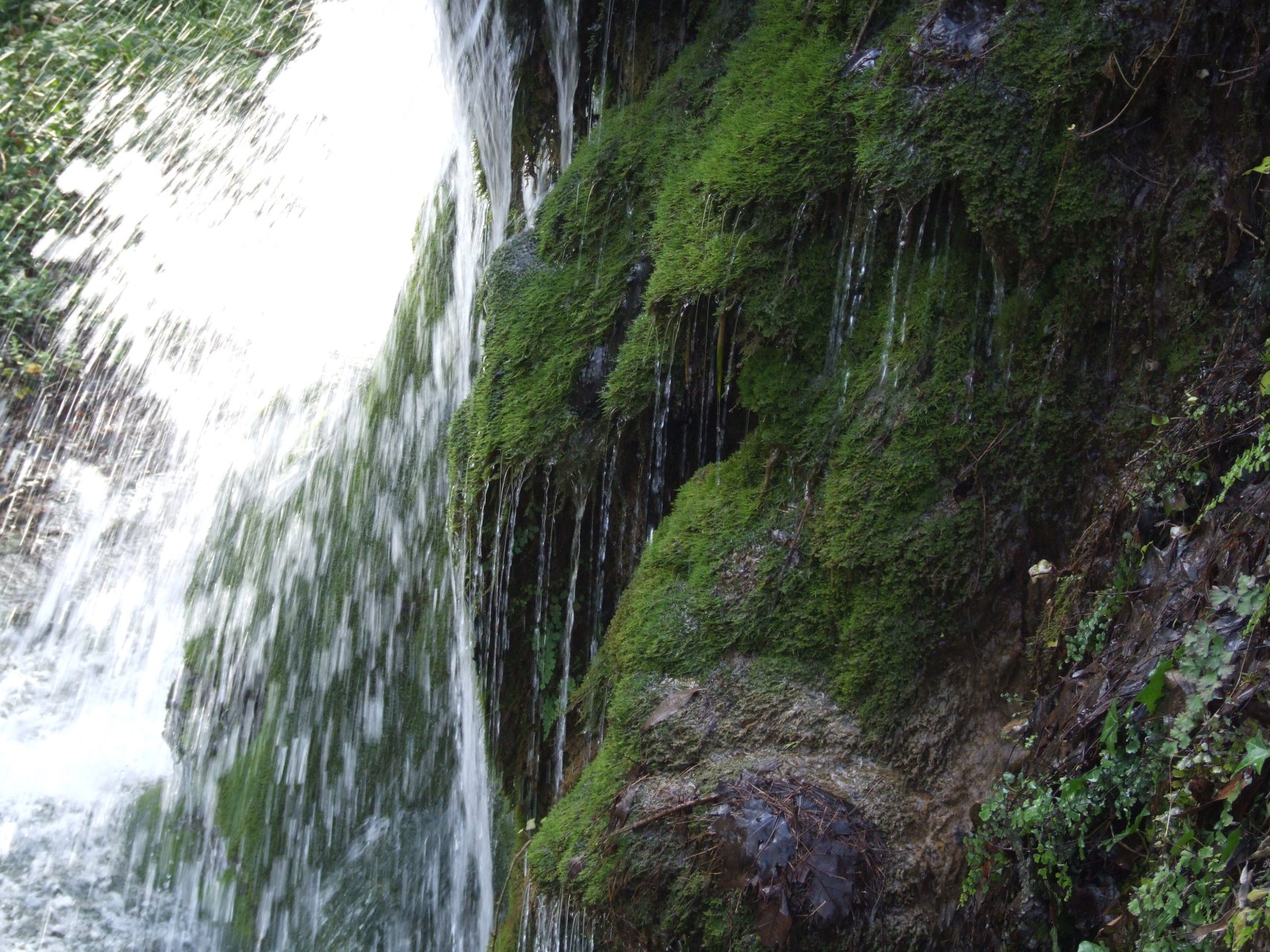 W otaczającym posiadłość parku znajduje się niewielki wodospad