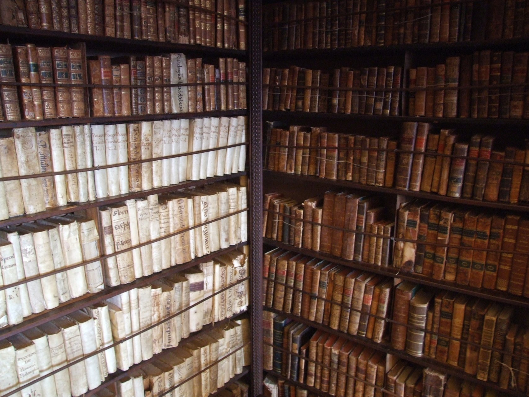 Biblioteka w klasztorze kartuzów