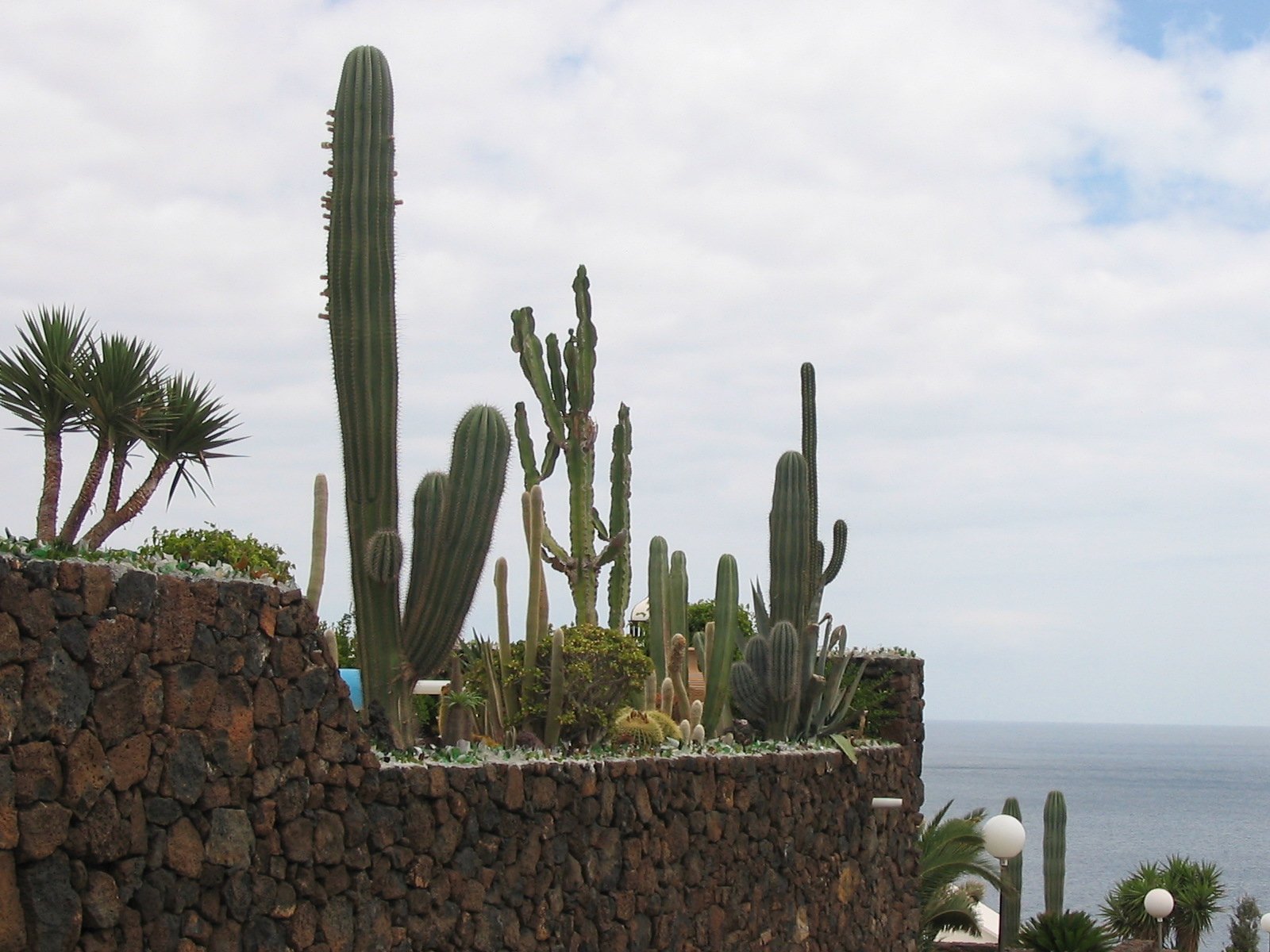 Ogród kaktusowy w jednej z posiadłości w Puerto del Carmen