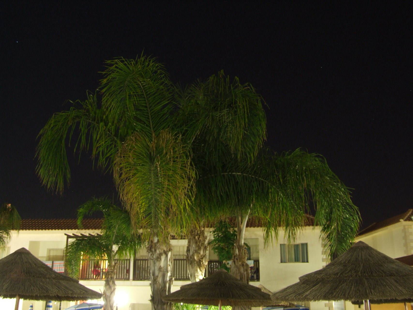 Hotelowy ogród nocą