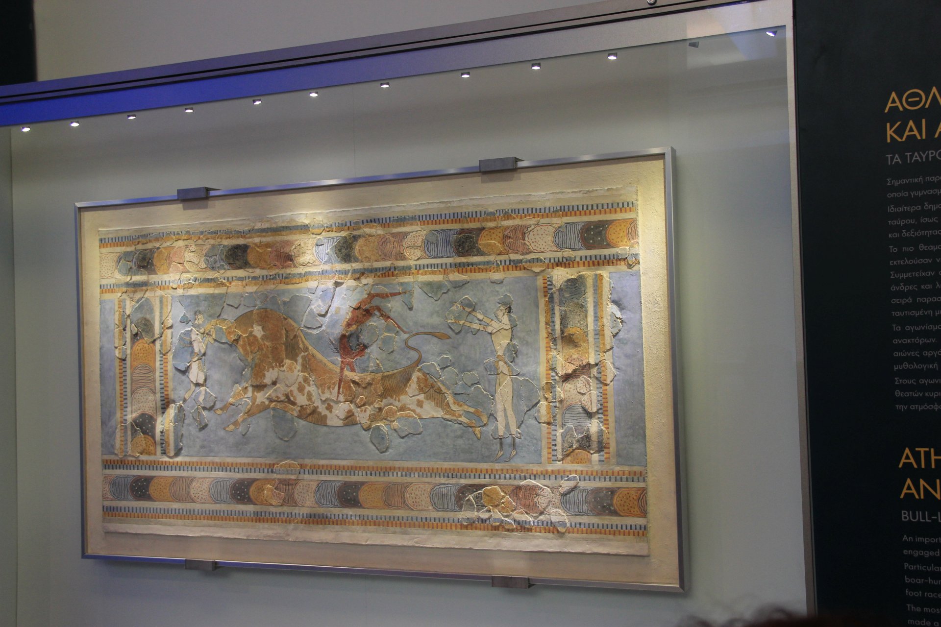 Rekonstrukcja fresku z Knossos przedstawiającego walkę z bykiem