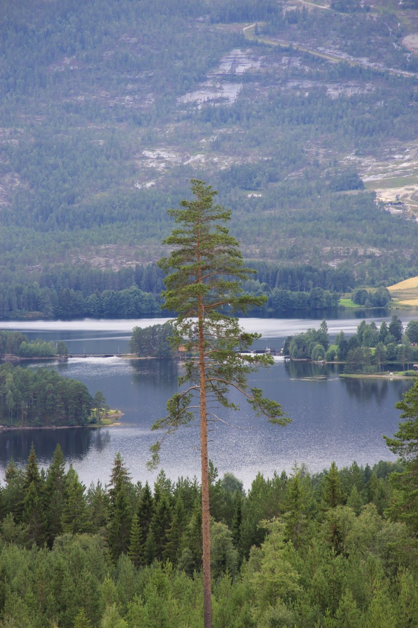 Jezioro Vråvatn