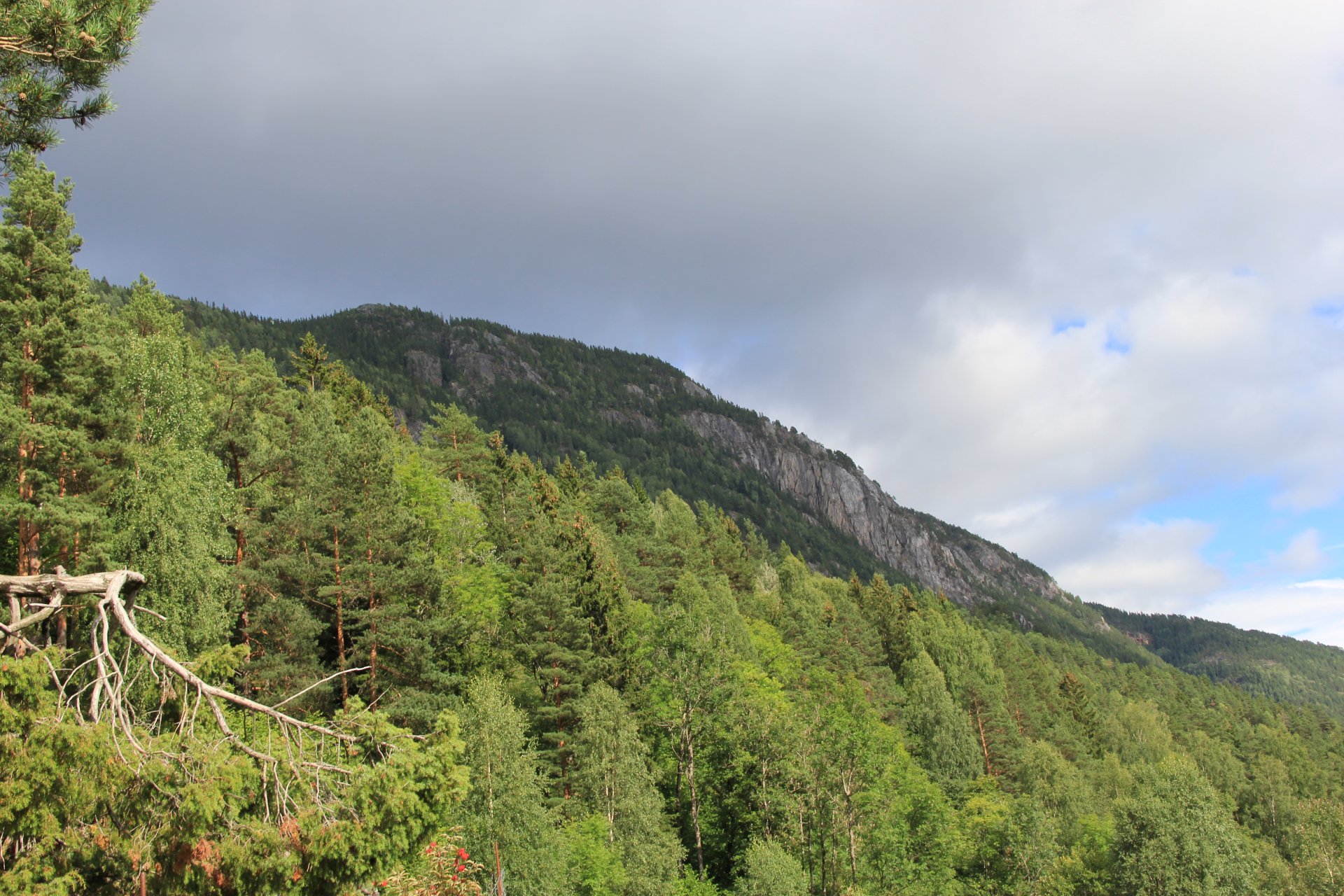 Wierzchołek Bjørgefjell