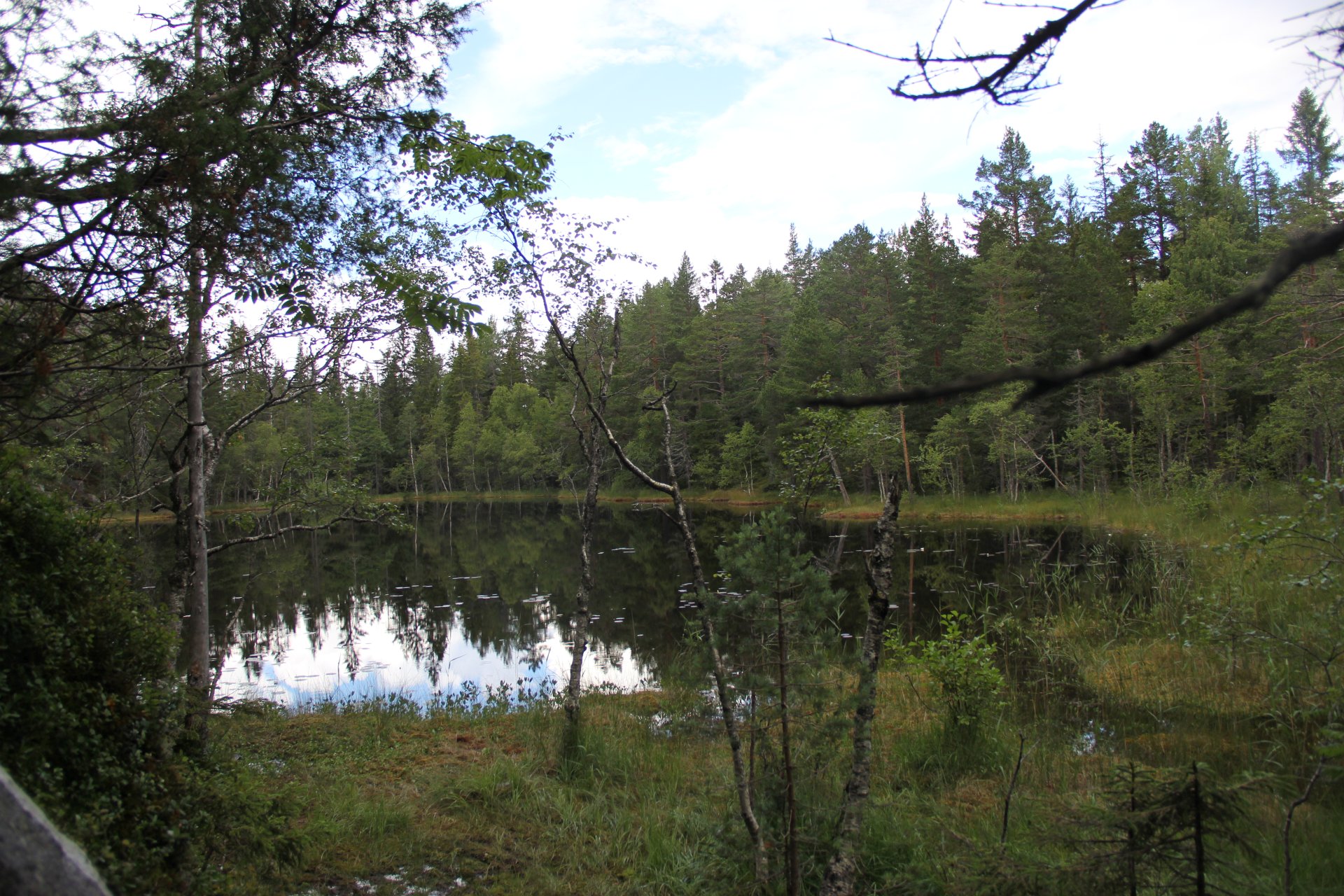 Ukryte w lesie jezioro Svarttjønn