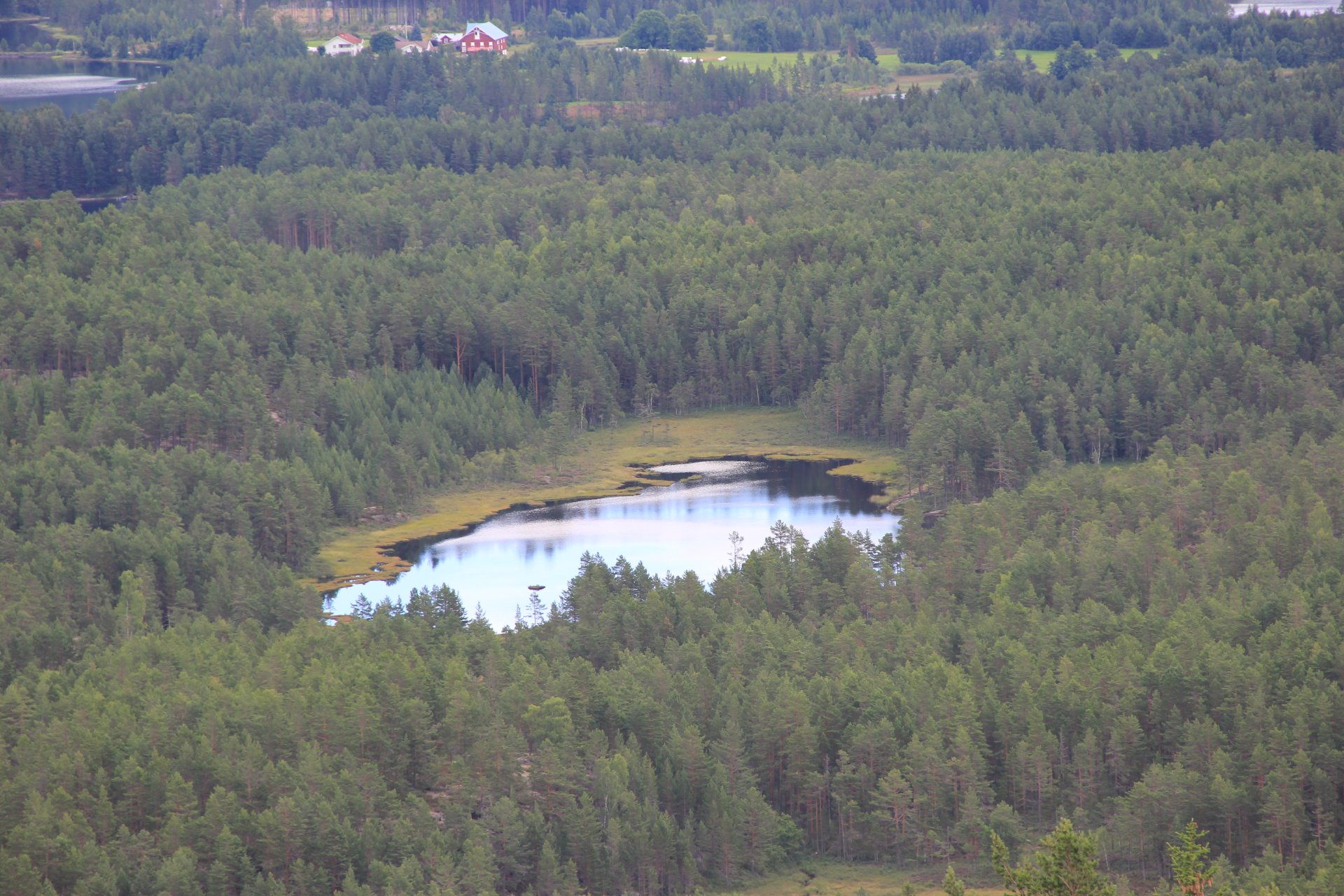Ukryte w lesie jeziorko Holtetjønn