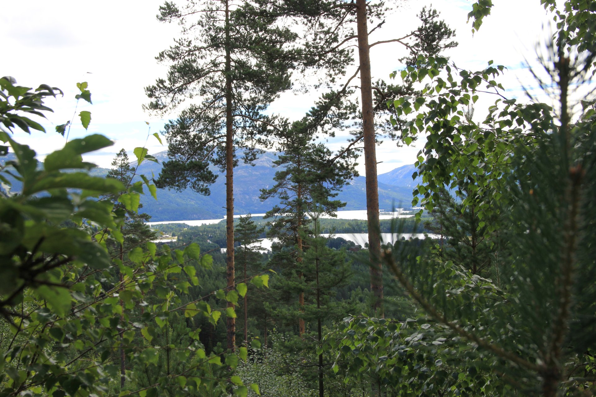 Widok z drogi na Roholtfjellet na jezioro Vråvatn