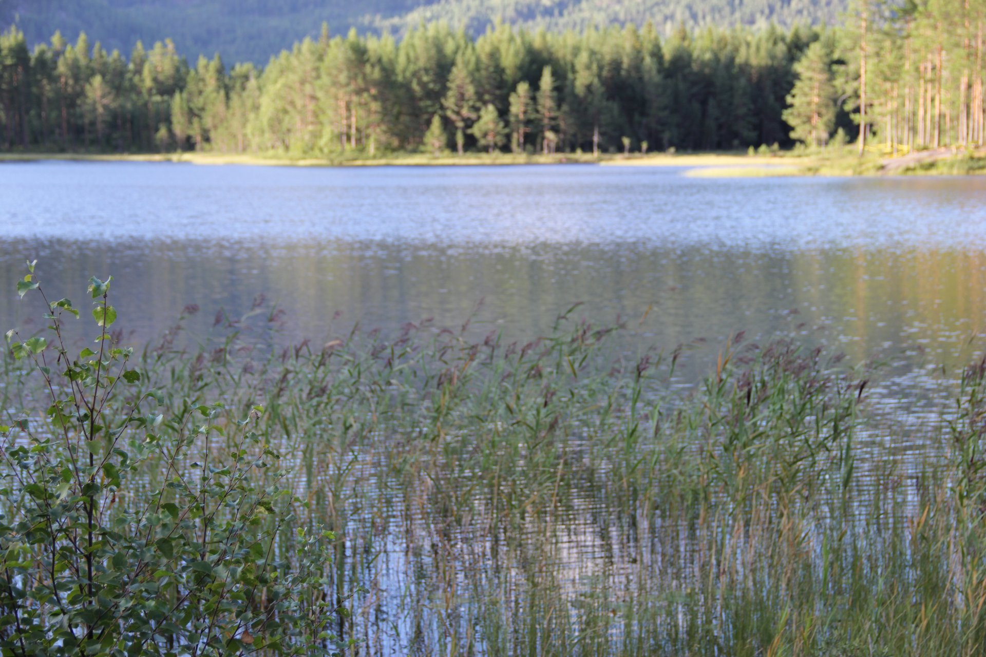 Jezioro Holtetjønn