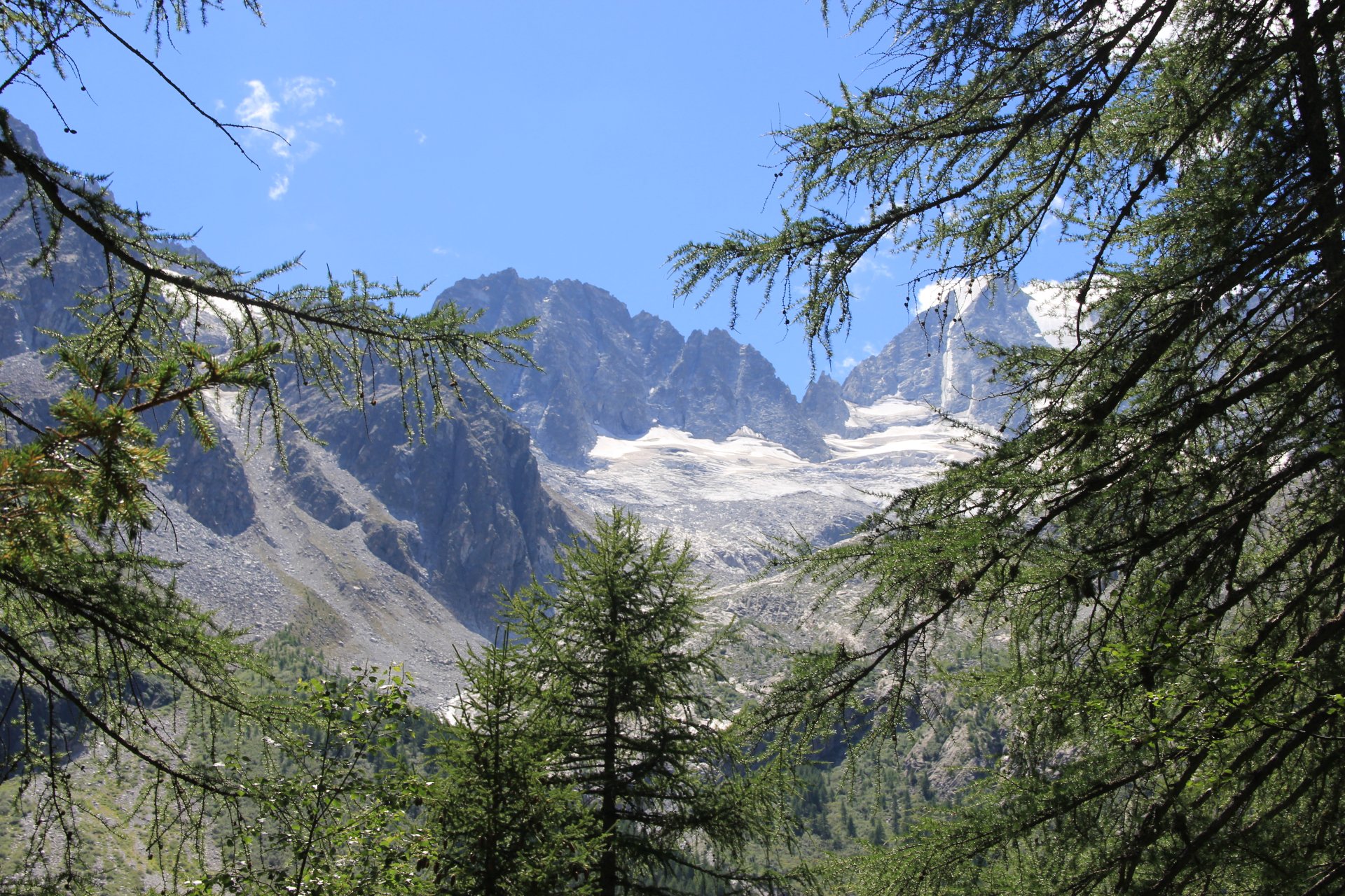 Widok na lodowce w dolinie Valle Presanella
