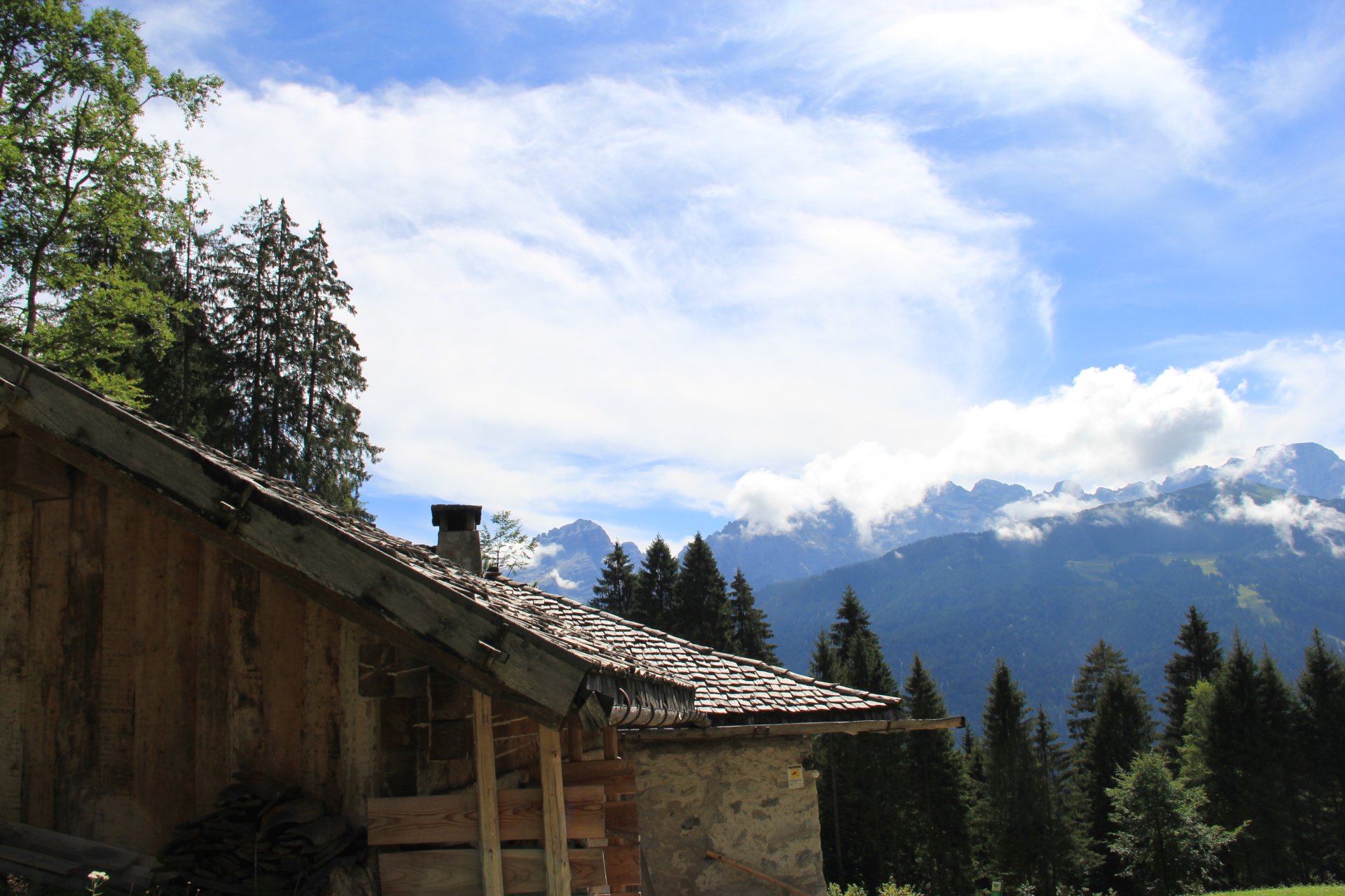 W dolinie Val Nambrone (w tle Grupa Dolomiti di Brenta)