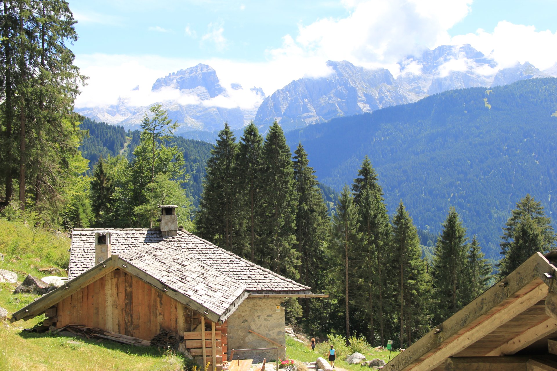 Widok na szczyty w Grupie Dolomiti di Brenta z polany Masi la Selva