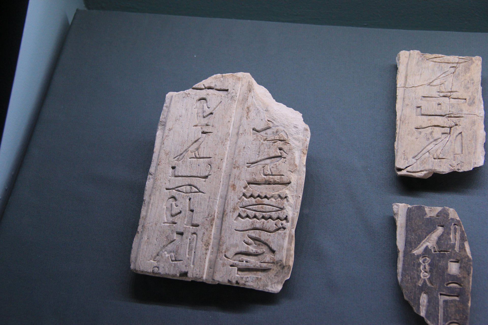 Fragmenty egipskich hieroglifów