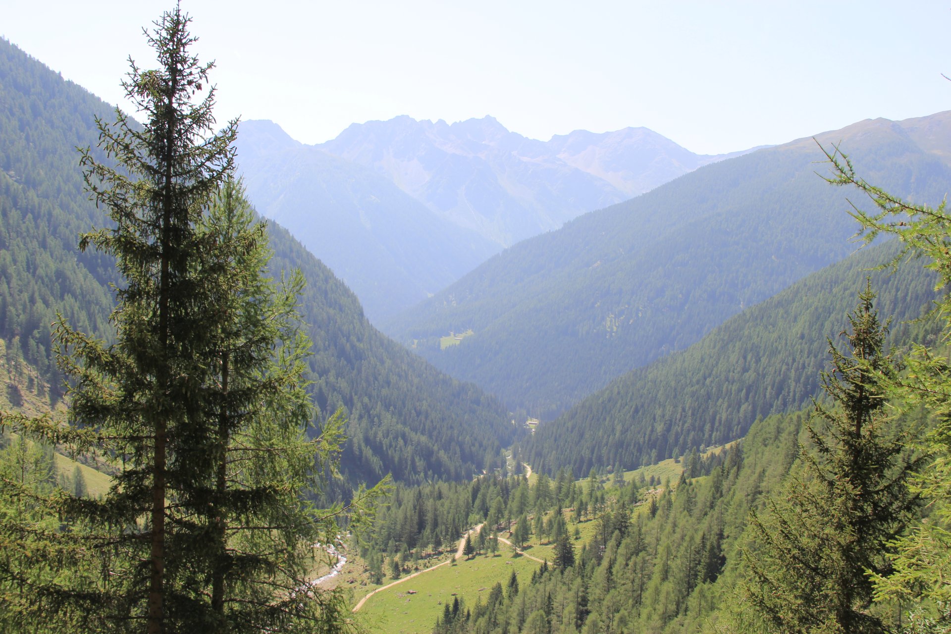Dolina Val di Saent