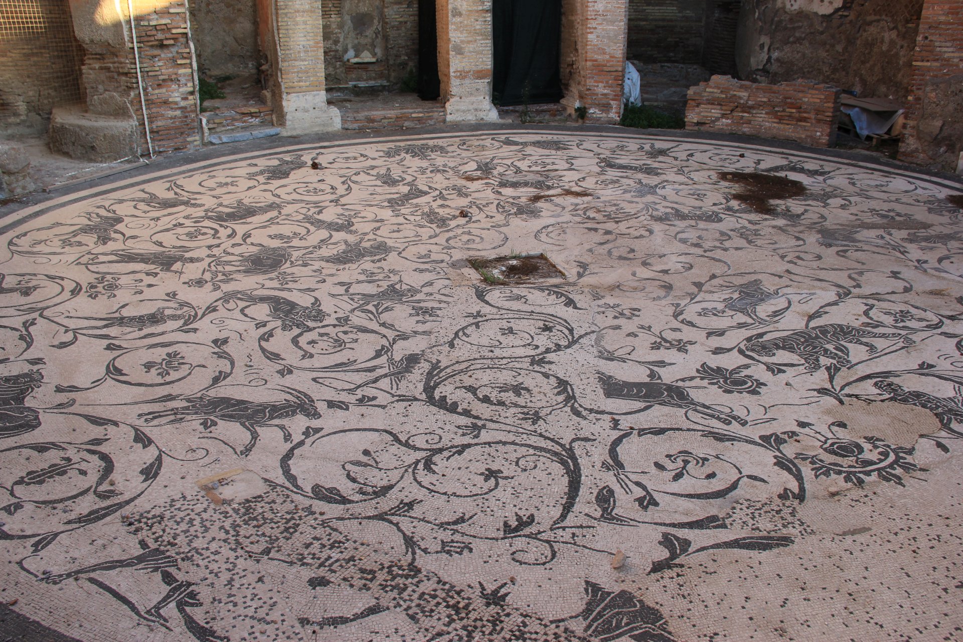 Mozaiki w Termach Siedmiu Mędrców
