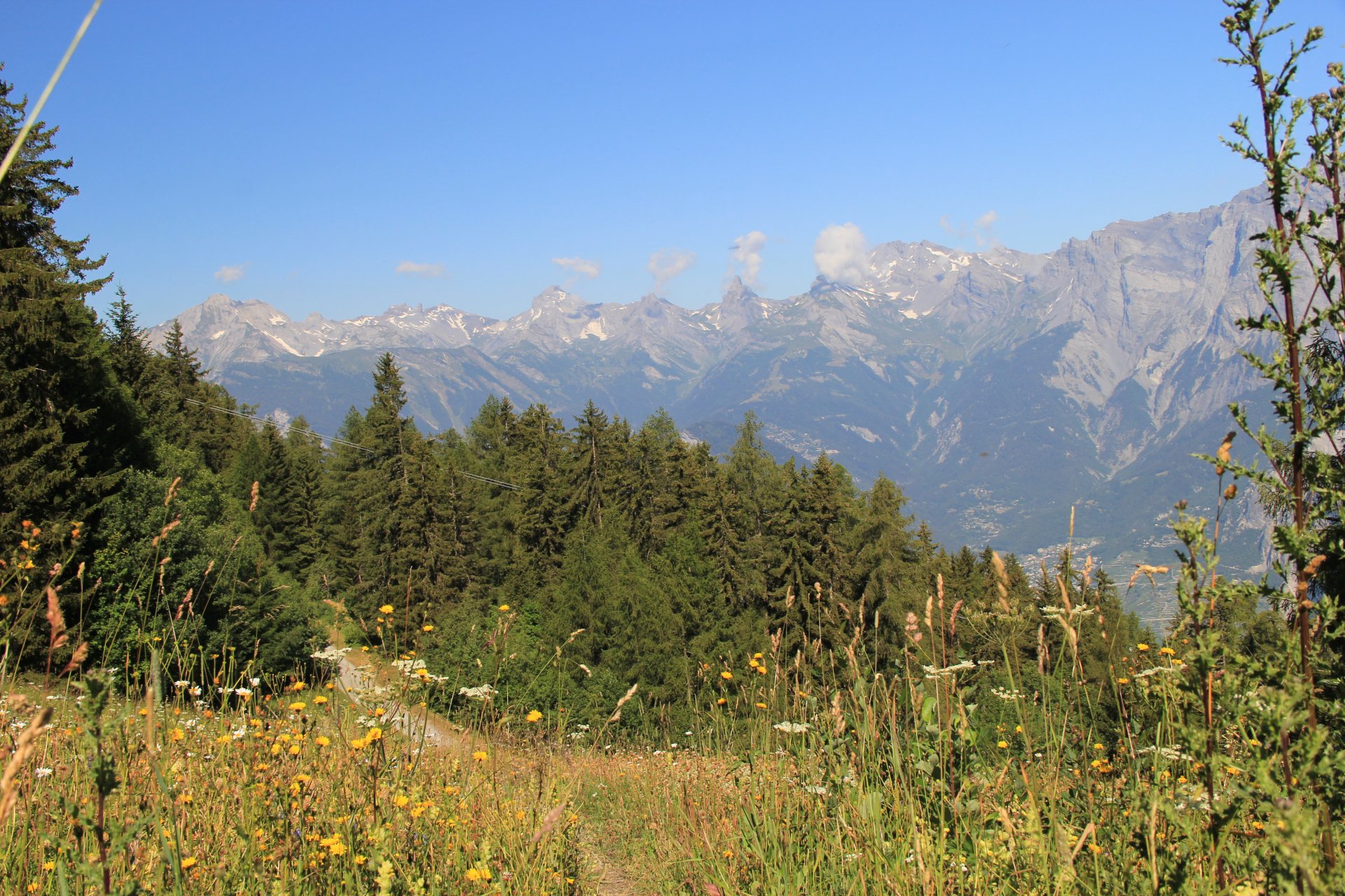 Alpy Berneńskie widziane ze ścieżki na polanę Tracouet