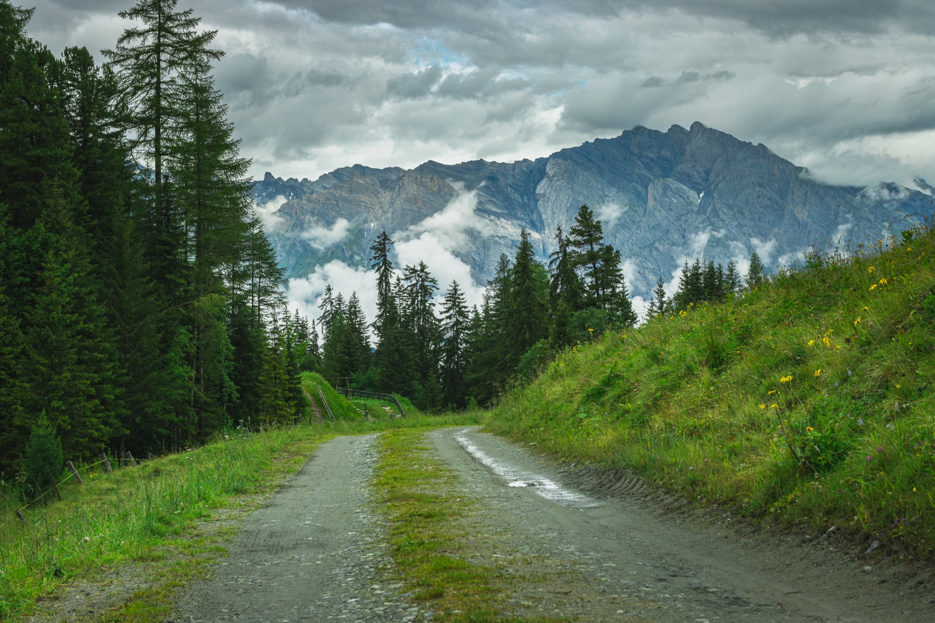 Droga Chemin de Chassoure, w tle Alpy Berneńskie