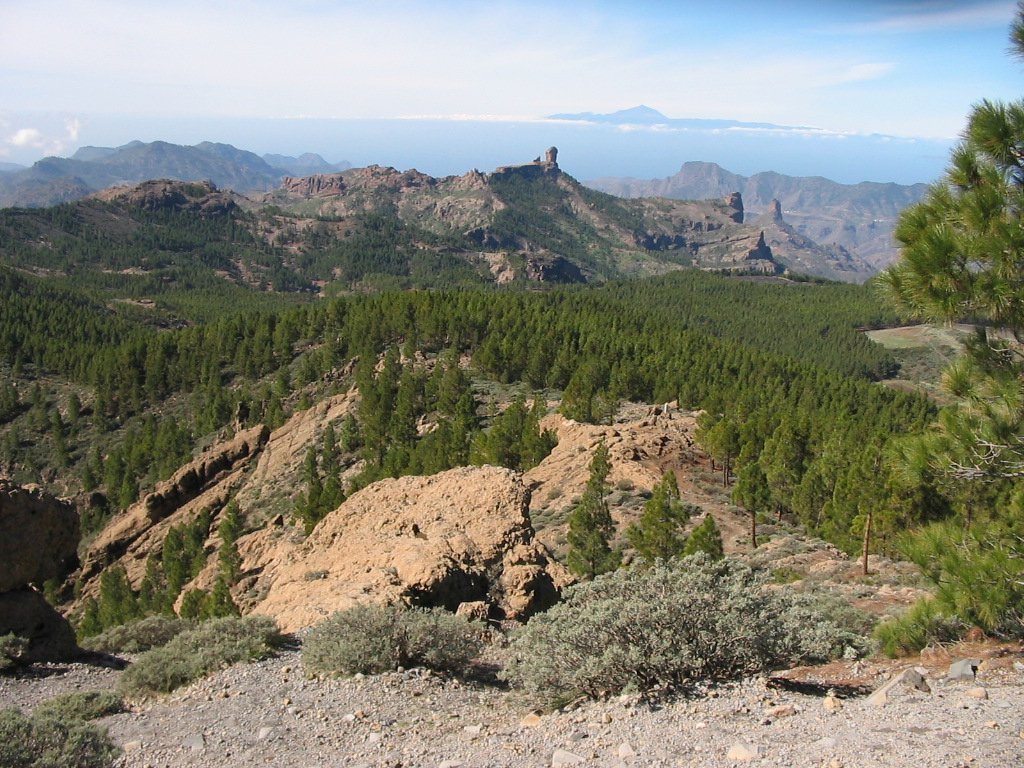 Widok z Pico de las Nieves