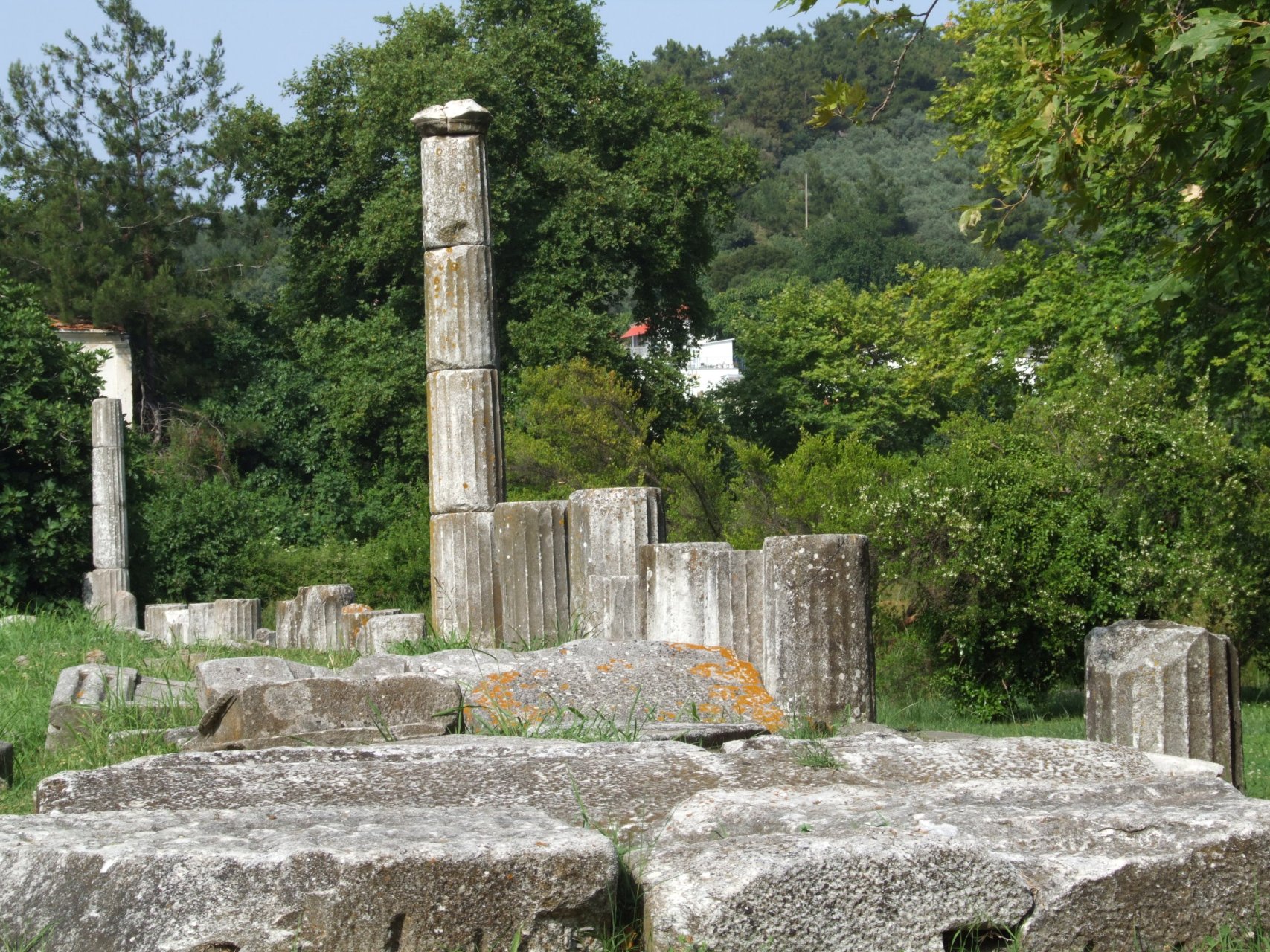 Agora - świątynia Zeusa
