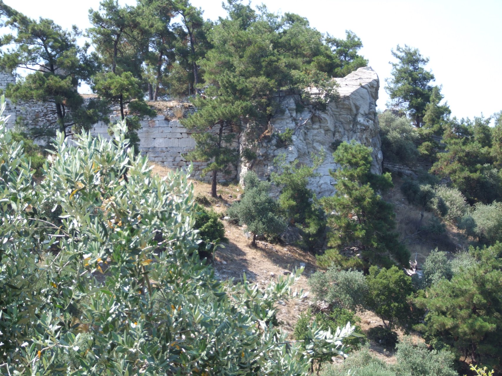 Ruiny średniowiecznego zamczyska