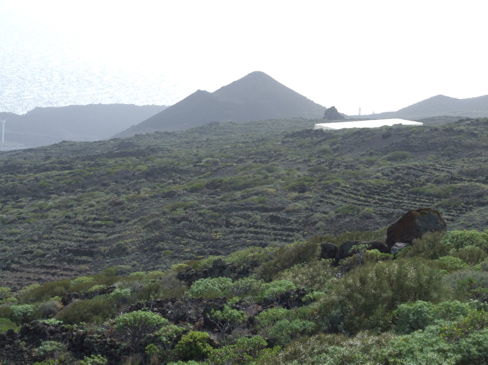 Wulkaniczne stożki rozsiane są na całej wyspie