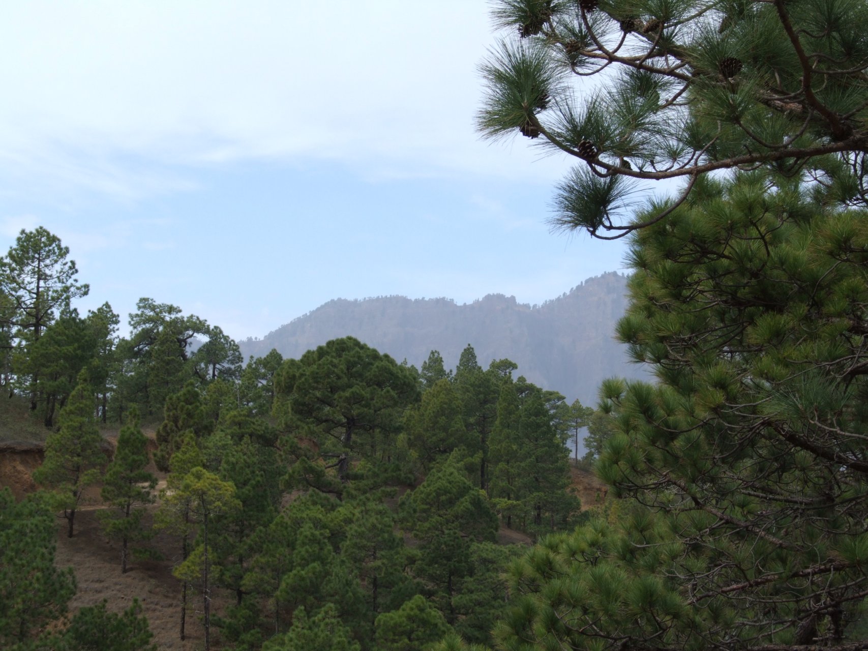 Widok z punktu widokowego Mirador de los Chorzas ku zachodowi